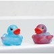 Canard de bain magique