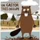 Un castor très occupé