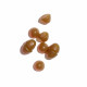 Gummies Mama