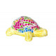 Mini-kit tortue