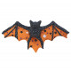 Mini-kit chauve-souris